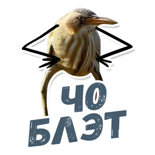 Набор стикеров