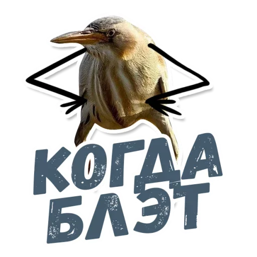 Набор стикеров