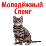 Стикер Молодёжный сленг