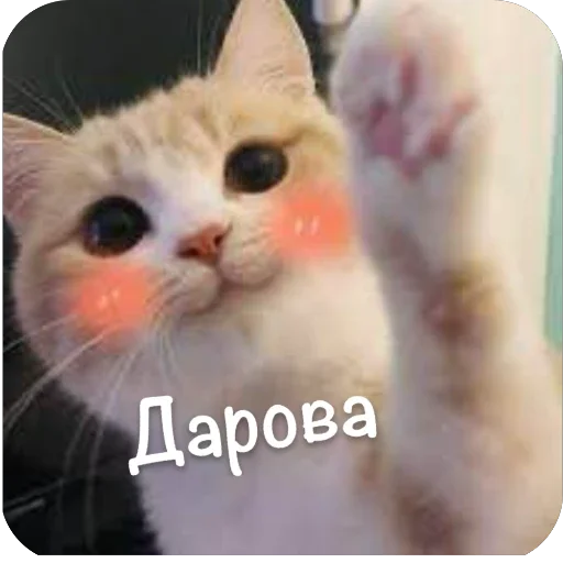 Набор стикеров