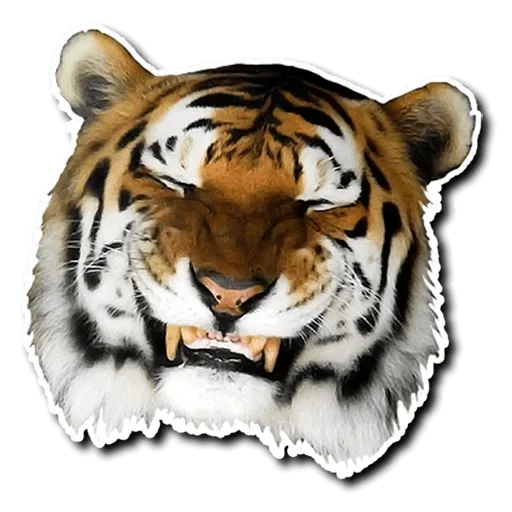Стикер Tiger Tiger