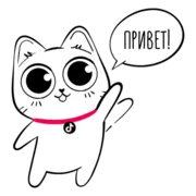 Стикер TikTok Kot