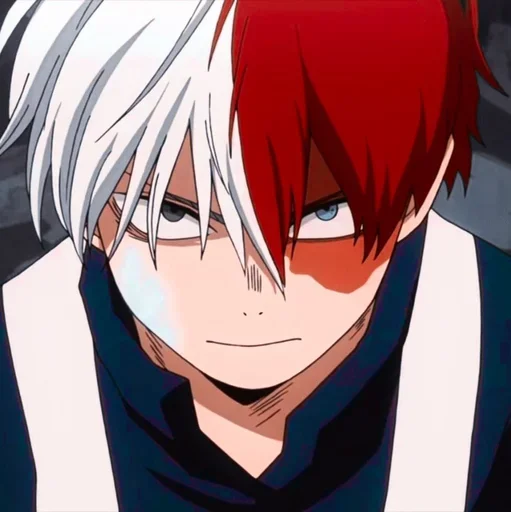 Стикер Shouto Todoroki