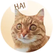 Стикер ToffeePie