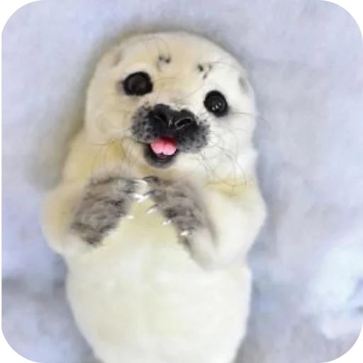 Стикер Тюленьчики