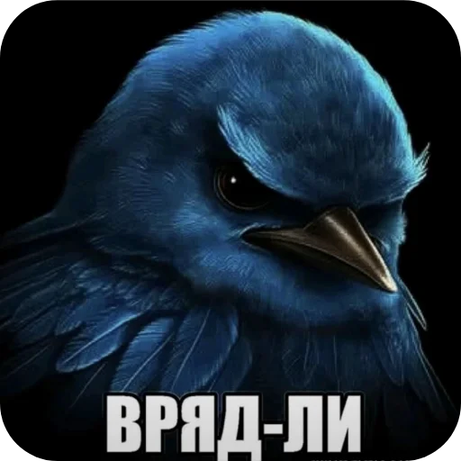 Стикер Birds Memes