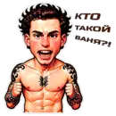 Набор стикеров