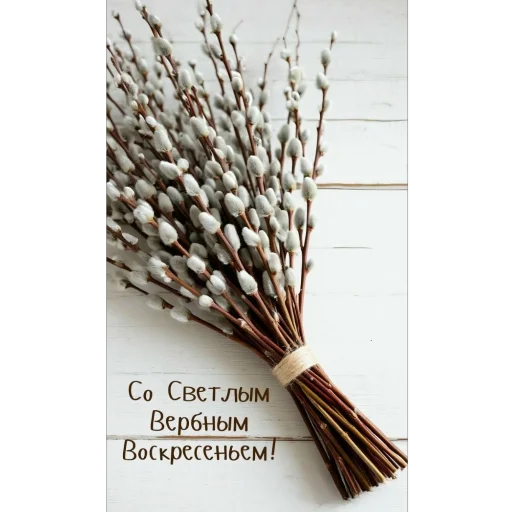Стикер Вербное воскресенье