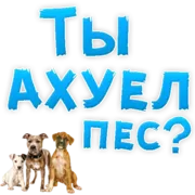 Набор стикеров