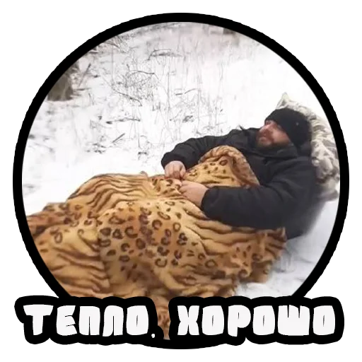 Стикер Vizhivalovo