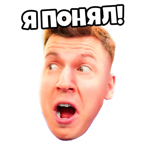 Стикер ВЛАДУС Роблокс