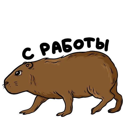 Набор стикеров
