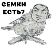 Набор стикеров