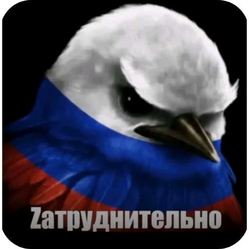 Стикер Birds Memes