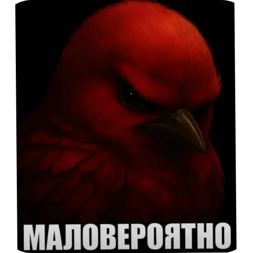 Стикер Birds Memes
