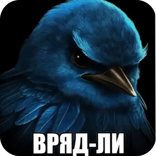 Стикер Birds Memes