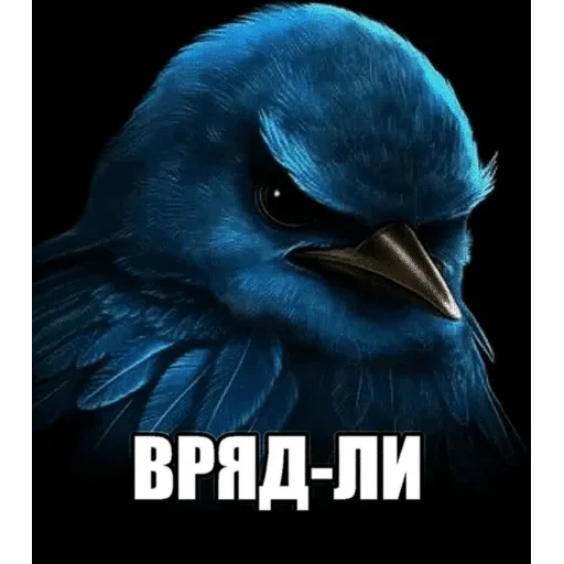 Стикер Birds Memes