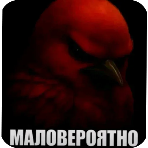 Стикер Birds memes