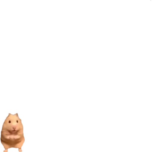 Стикер CHIQUITOS