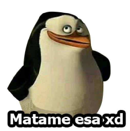 Стикер MADAGASCAR