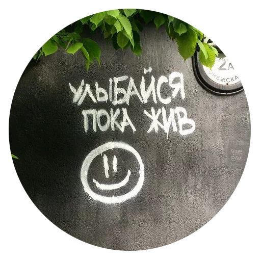 Стикер Walls can talk
