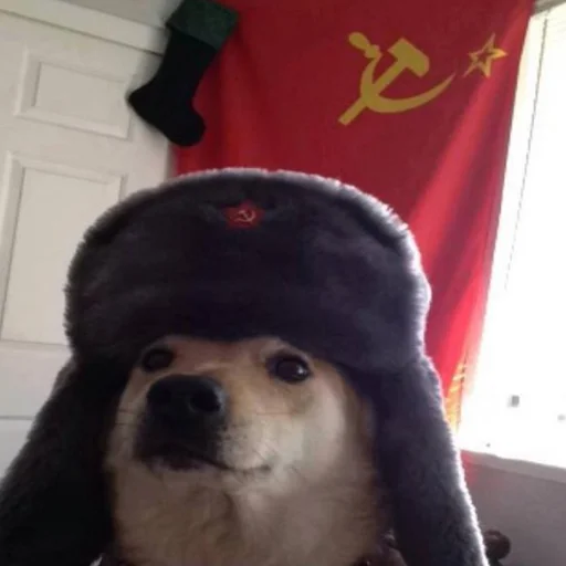 Стикер We Are Communist