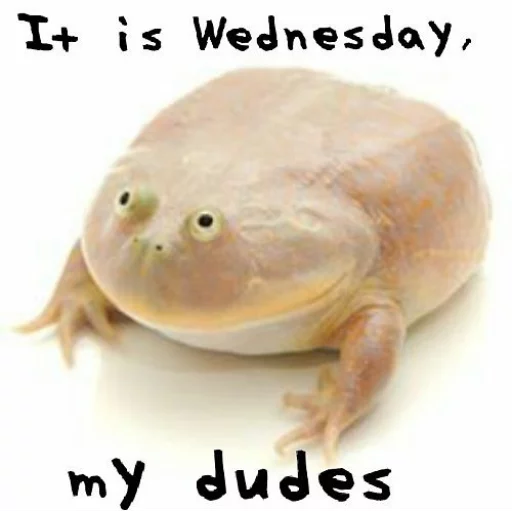 Стикер Wednesday My Dudes