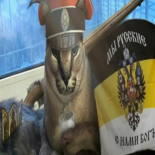 Стикер Белый пак