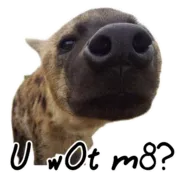 Стикер Whoooop