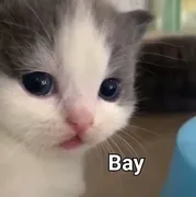 Стикер Зачем этот пак существует