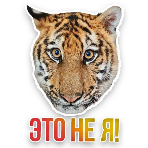 Набор стикеров