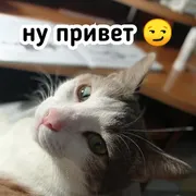 Стикер Плод скуки будних дней