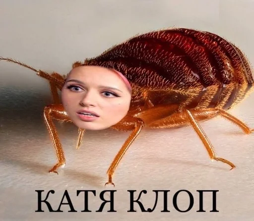 Стикер Слово+слово