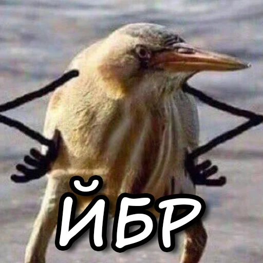 Стикер ЙБР