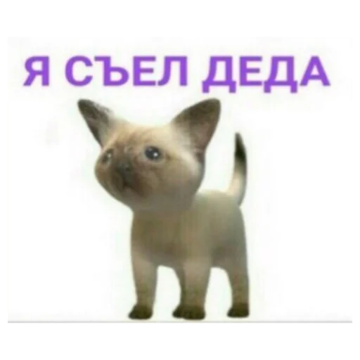 Стикер На случай важных переговоров