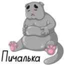 Набор стикеров