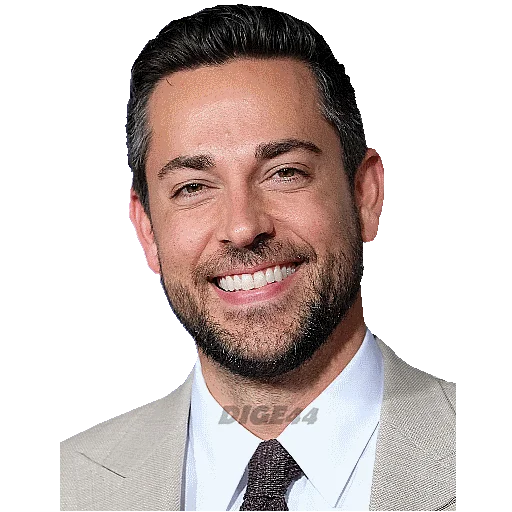 Стикер ZACHARY LEVI