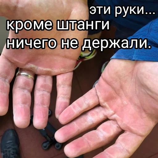 Стикер Зеленский я тебя люблю