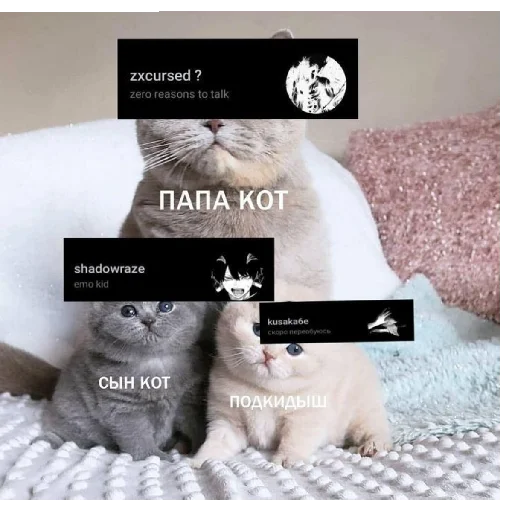 Набор стикеров