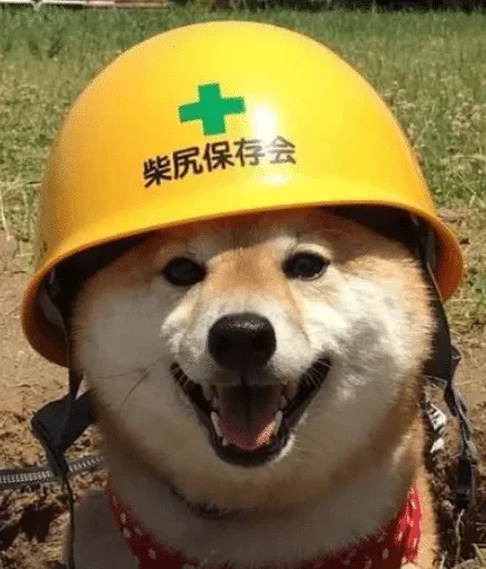 Стикер Animals