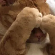 Стикер Purpose