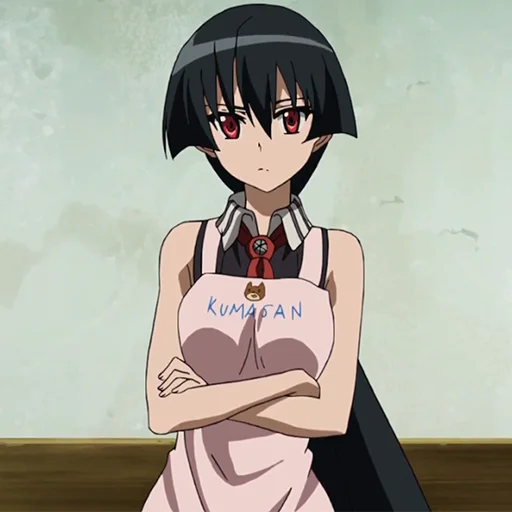 Стикер Akame ga Kill!