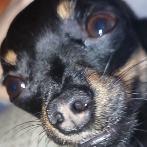 Стикер Alma moment