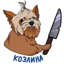 Набор стикеров