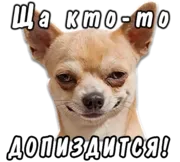 Стикер животные