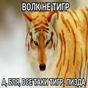 Стикер Антицирк