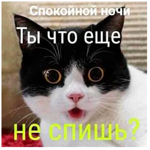 Стикер arbuzzer 09 11