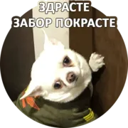 Набор стикеров