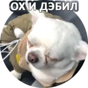 Набор стикеров