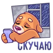 Набор стикеров